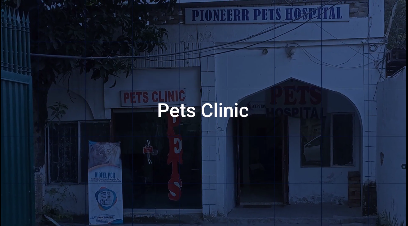 Pioneer Pets Hospital entrance - Veterinary clinic in Rawalpindi